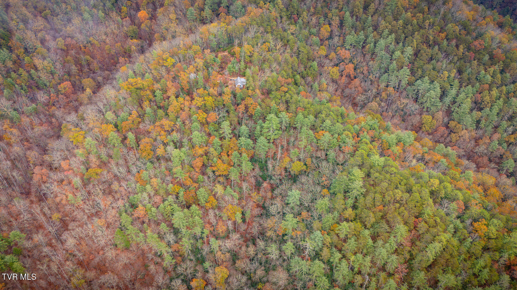 1272 Peach Orch Way Del Rio, TN 37727 - Photo 56 of 56 _Pic56 (14)