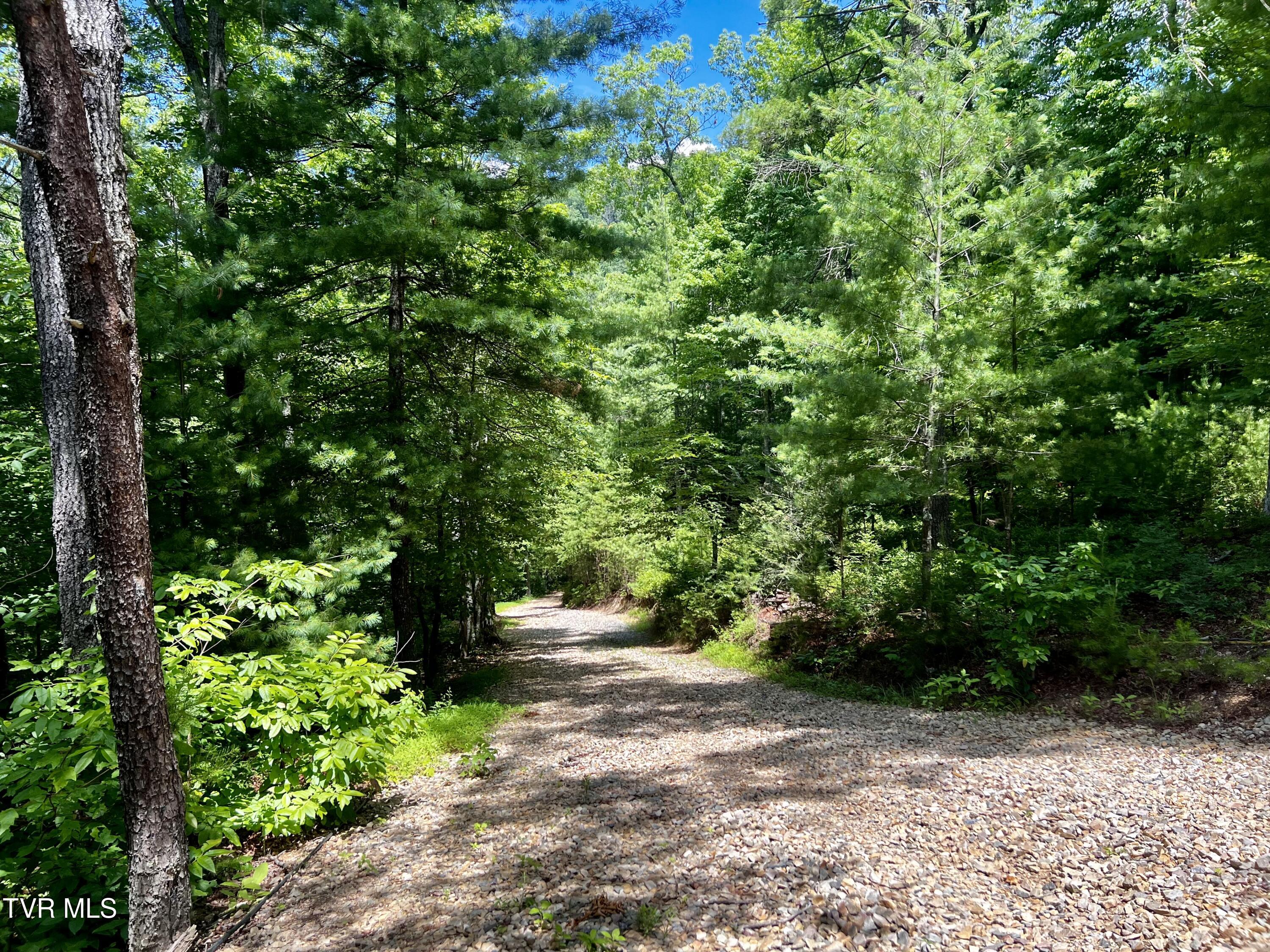 1272 Peach Orch Way Del Rio, TN 37727 - Photo 6 of 56 _Pic6 (40)