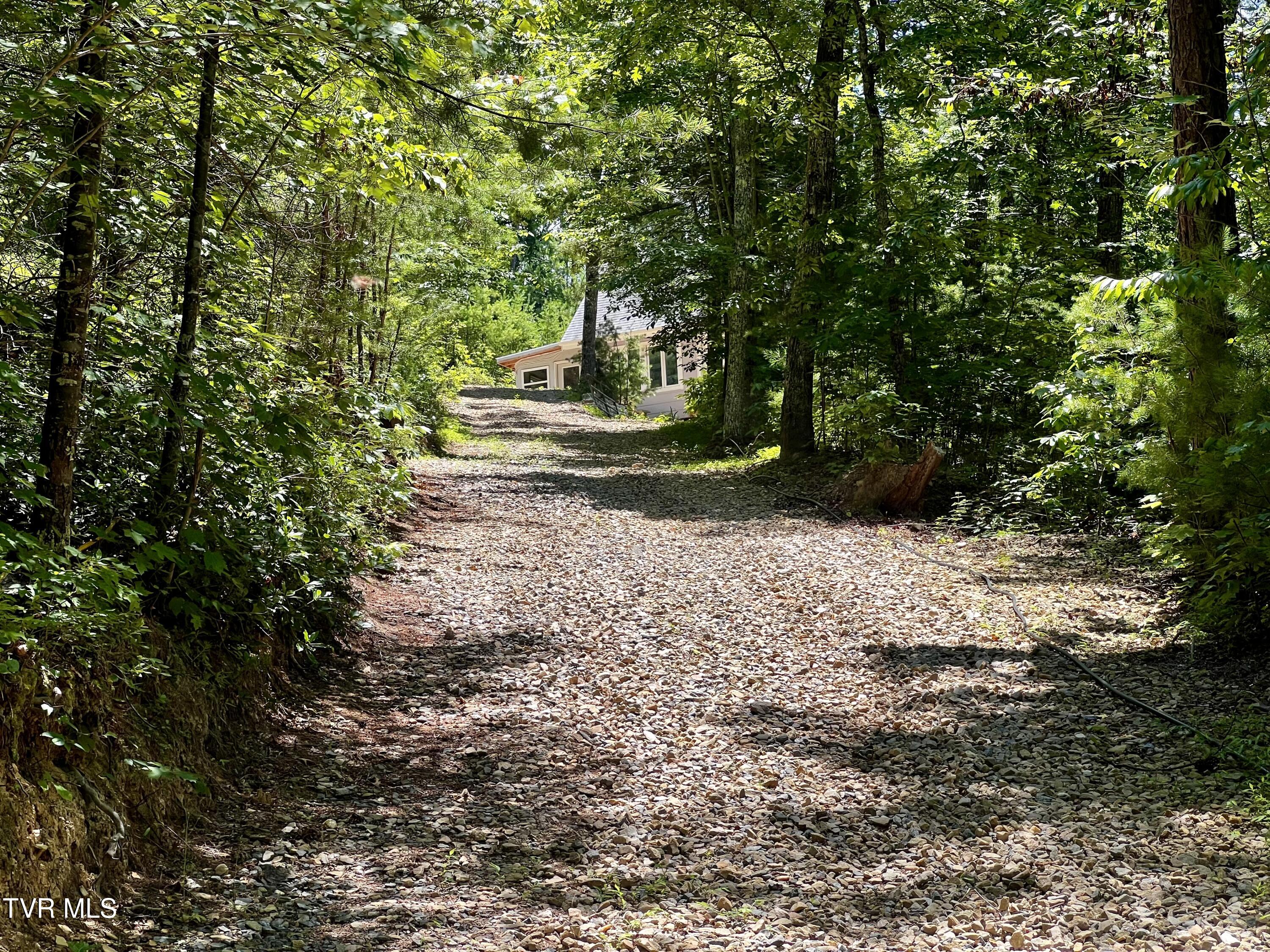 1272 Peach Orch Way Del Rio, TN 37727 - Photo 7 of 56 _Pic7 (35)