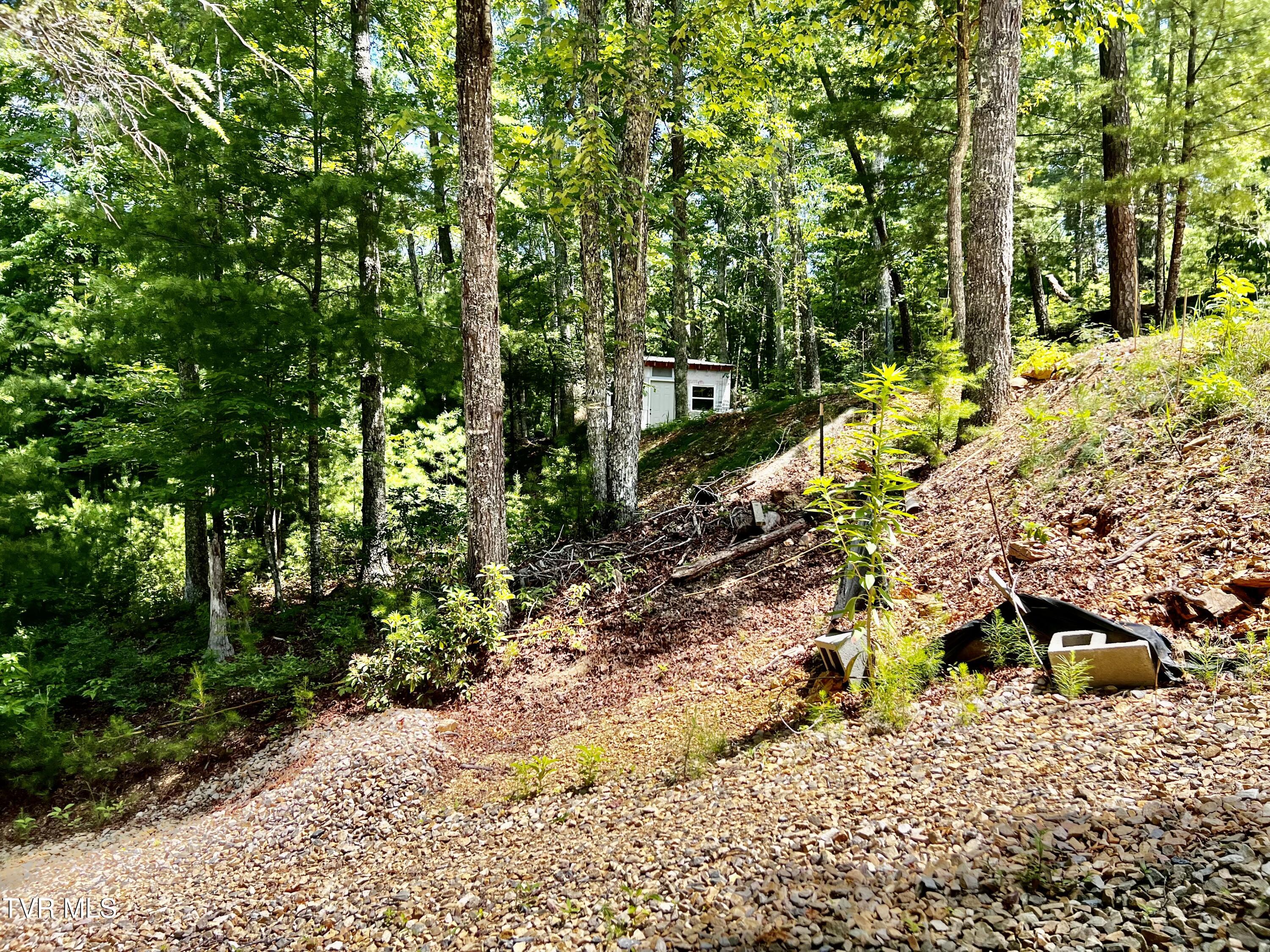 1272 Peach Orch Way Del Rio, TN 37727 - Photo 8 of 56 _Pic8 (37)