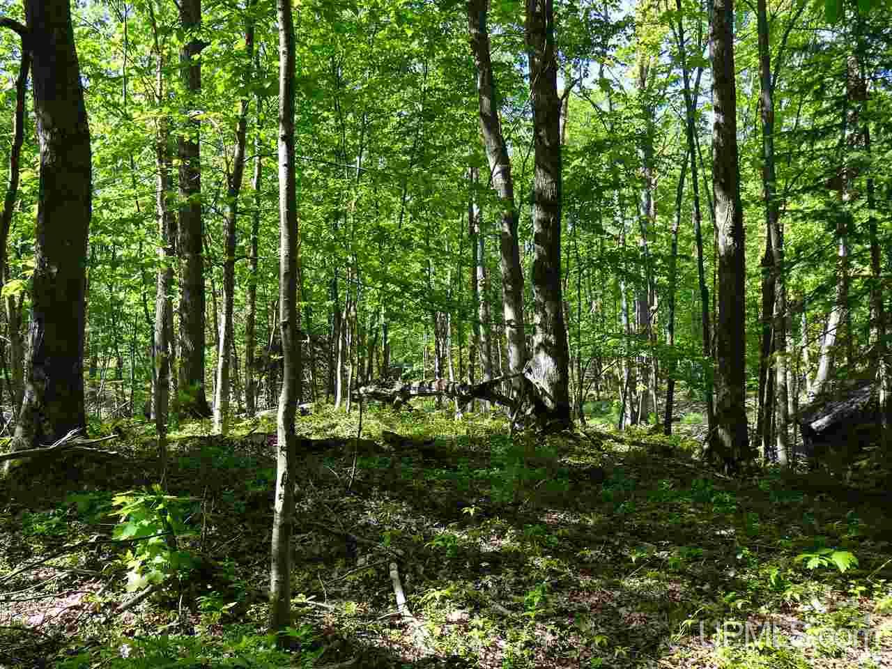 Tbd West Heinola Road Atlantic Mine, MI 49931 - Photo 7 of 17