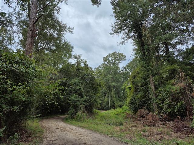 0 South River Road Angie, LA 70426 - Photo 2 of 7 Gallery Image 2