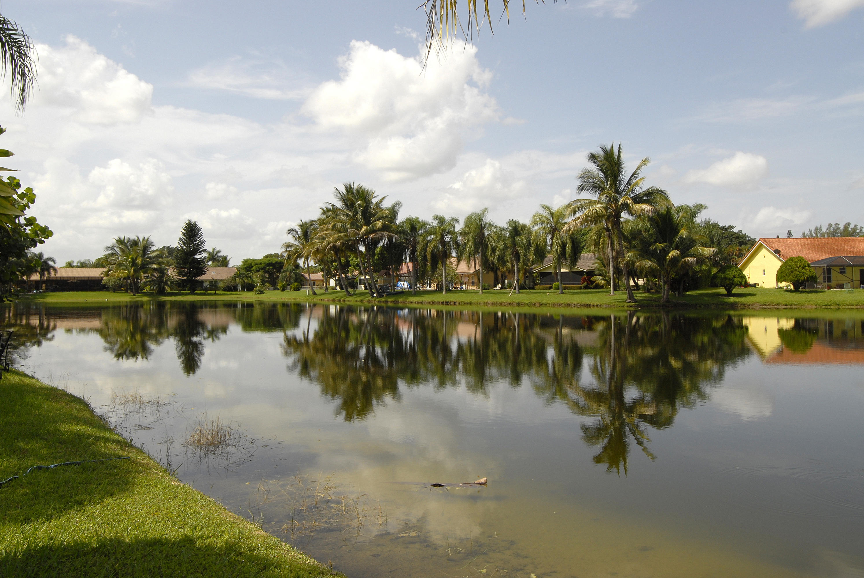 21347 Chinaberry Drive Boca Raton, FL 33428 - Photo 35 of 35 a view of lake