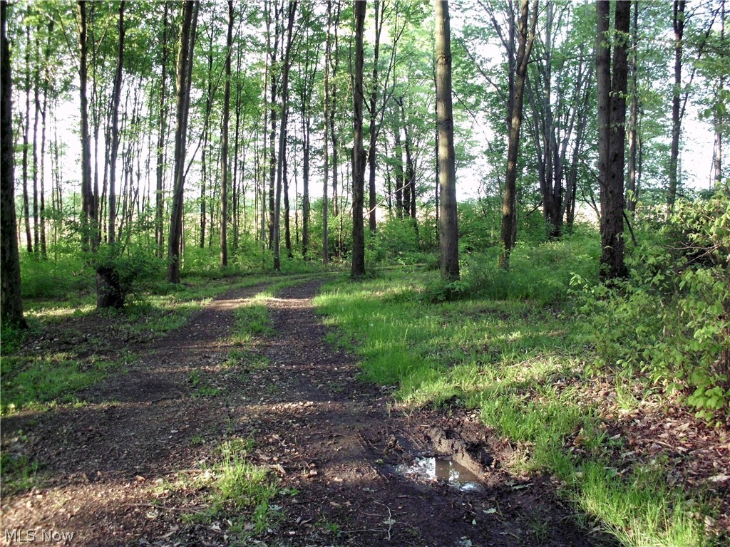 3961 Mann Road Andover, OH 44003 - Photo 12 of 13 Driveway
