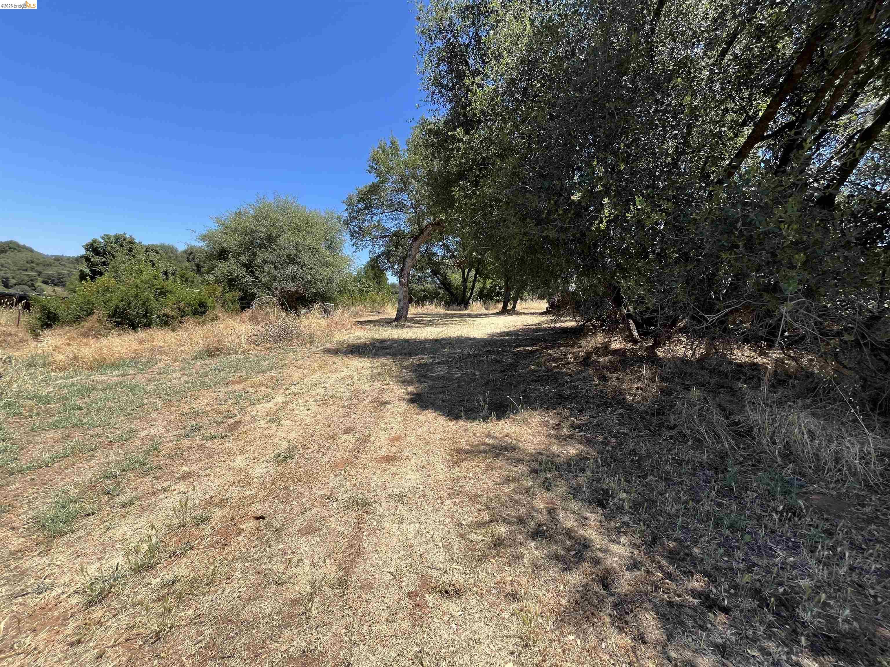 18195 Wards Ferry Road Sonora, CA 95370 - Photo 52 of 67 Expansive natural landscape featuring mature trees providing ample shade