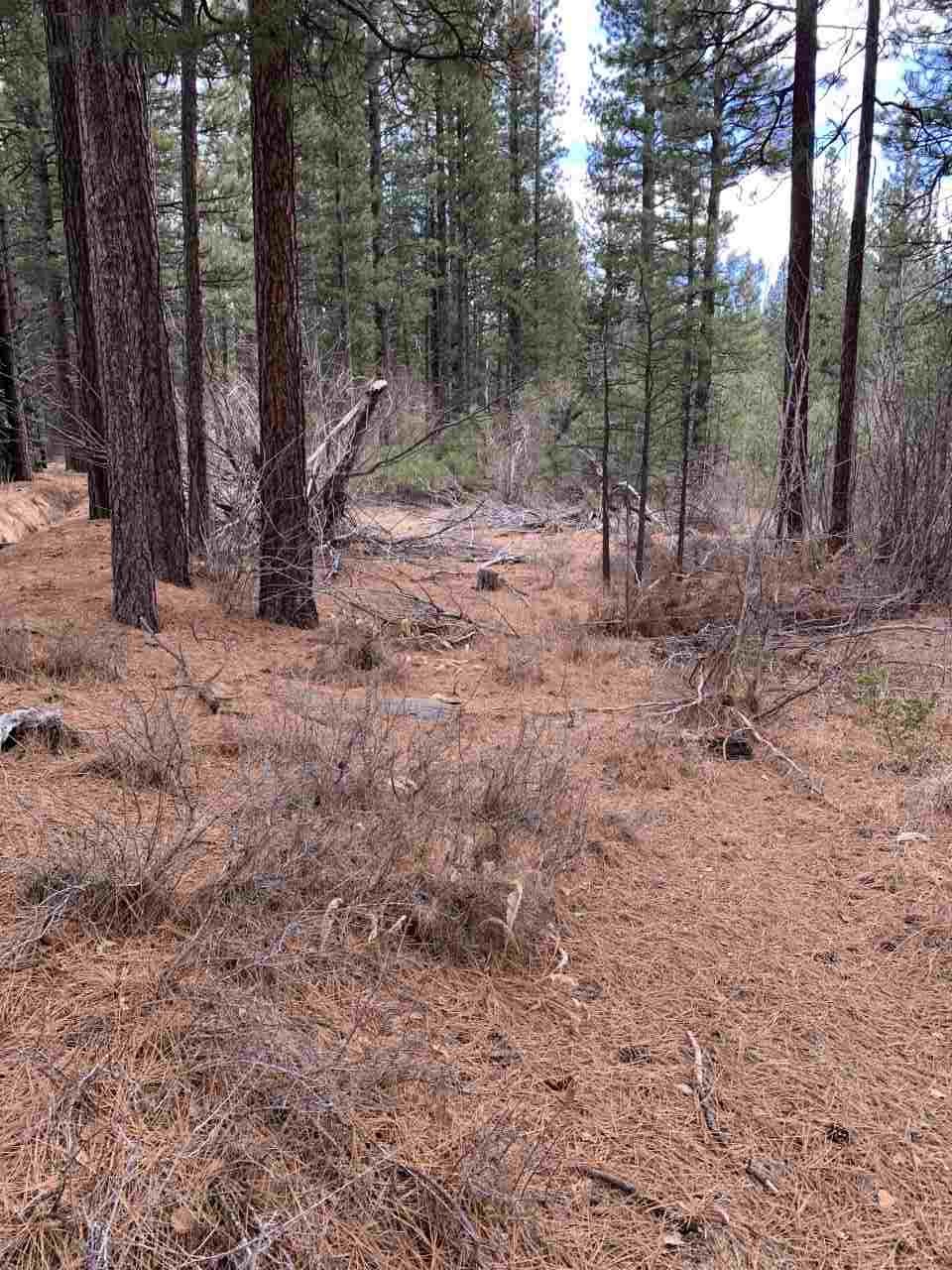 10 Mill Road Calpine, CA 96124 - Photo 7 of 18