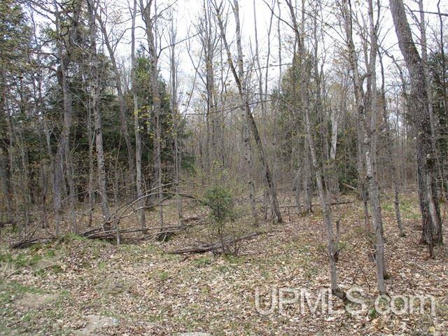 E17053 Nevins Lake Road Shingleton, MI 49884 - Photo 2 of 26
