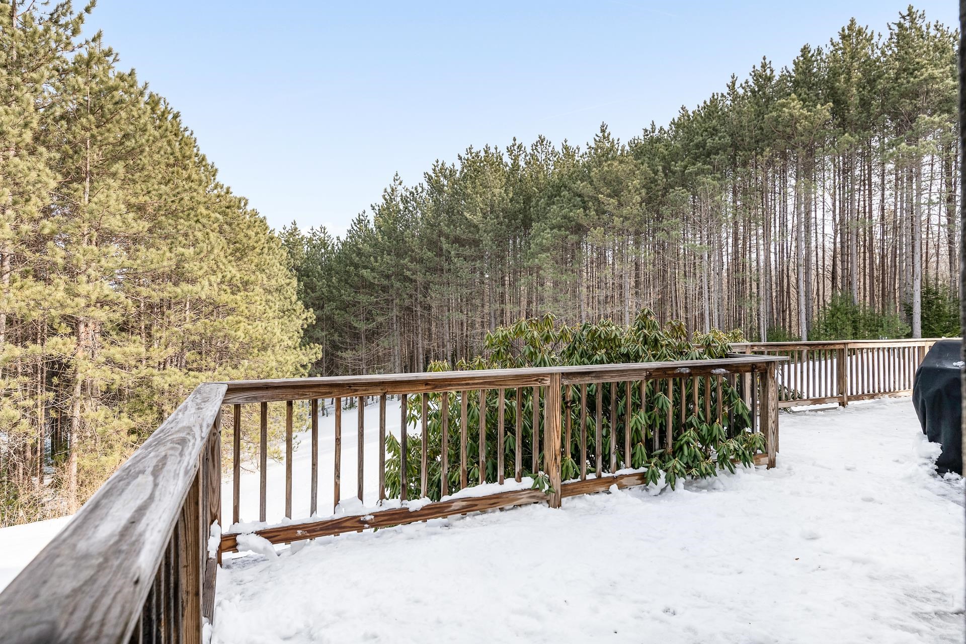 874 Olde Farm Road Grantham, NH 03753 - Photo 35 of 38