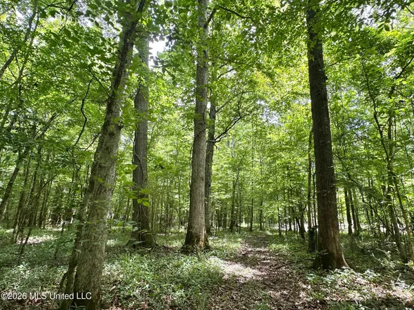 $679,000 | 0 Highway 483, Lena, MS 39094