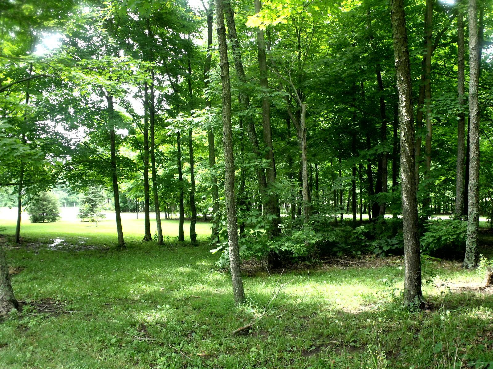 9434 Dozer Road Southwest Stoutsville, OH 43154 - Photo 4 of 4