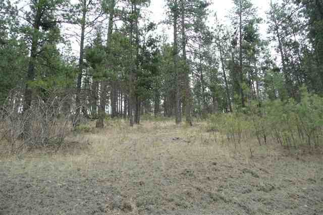 0 West Taylor Road Cheney, WA 99004 - Photo 1 of 5