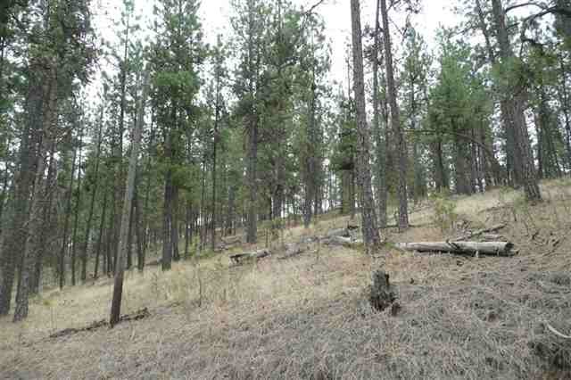 0 West Taylor Road Cheney, WA 99004 - Photo 2 of 5