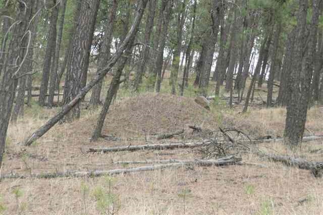0 West Taylor Road Cheney, WA 99004 - Photo 3 of 5