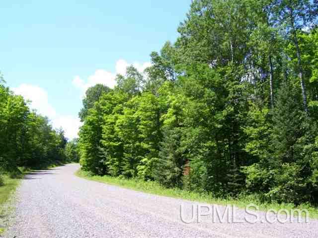 Tbd Montgomery Lake Road Florence, WI 54121 - Photo 1 of 2