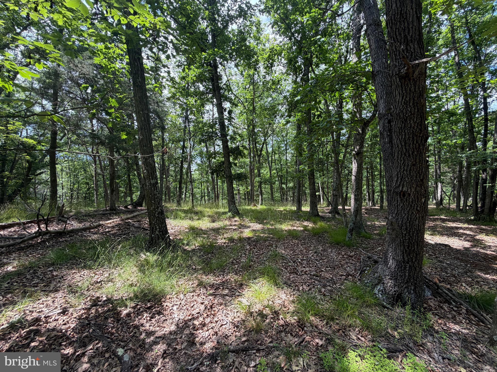 0 Headsville Road Keyser, WV 26726 - Photo 12 of 24