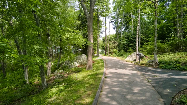 a view of backyard with green space