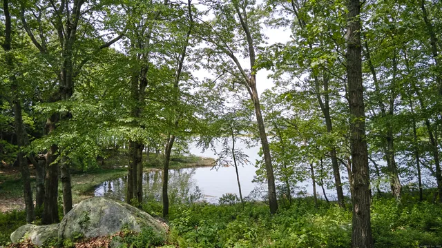 a view of a lake with a city view