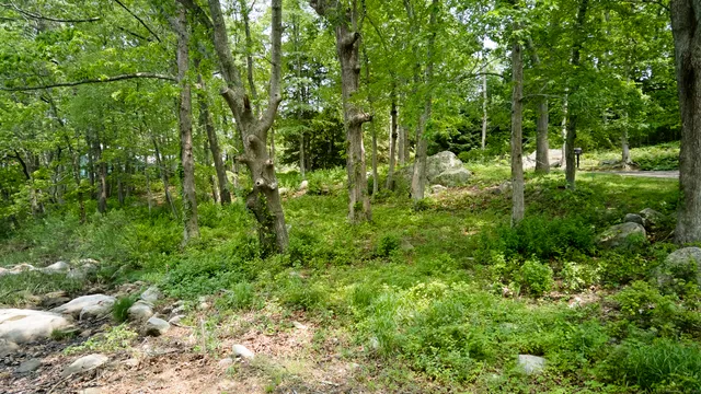 a view of lake with green space