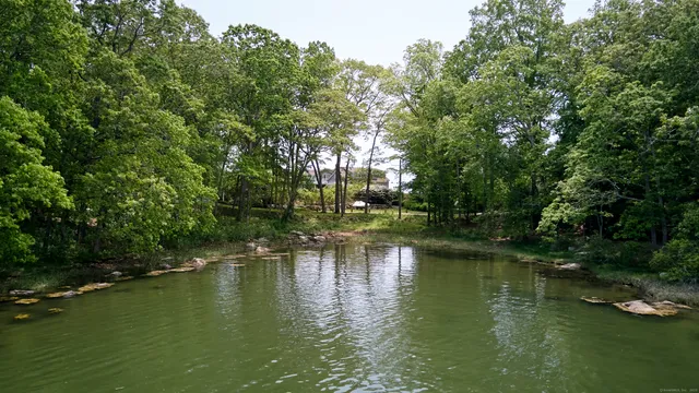 a view of a lake with green space