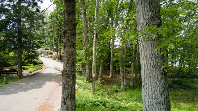 an aerial view of a houses with a yard and lake view