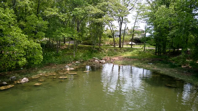 a view of a lake in middle of forest