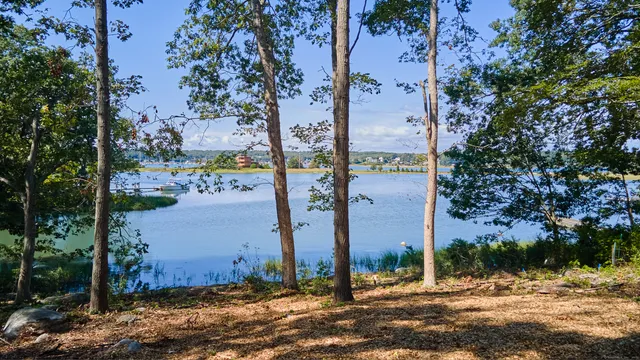 a view of a yard in front of the house