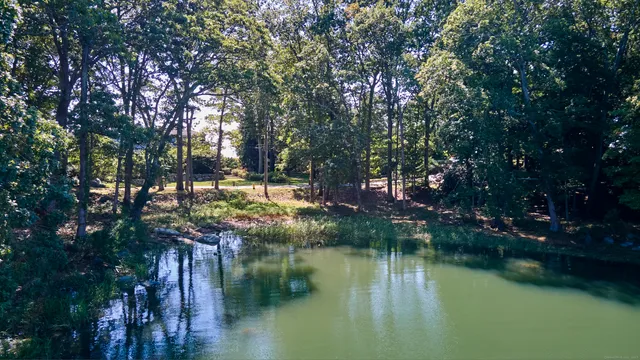 a view of a lake with a mountain in the background