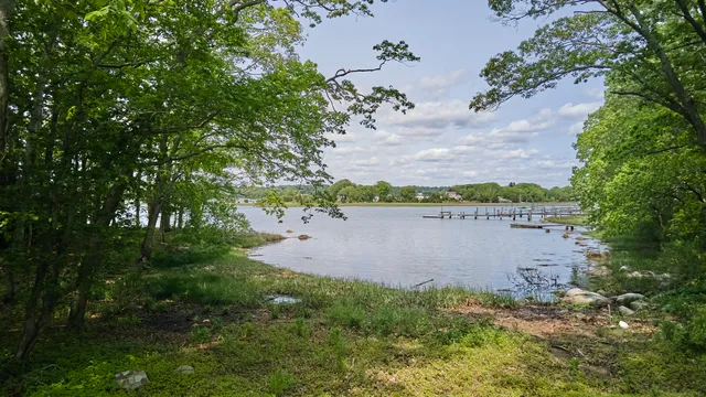 a view of a lake with a city