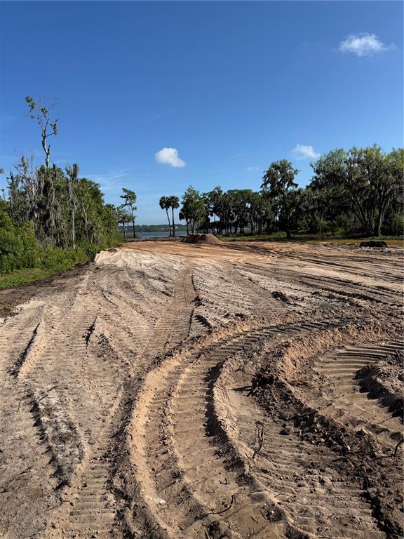 4 Blue Heron Circle Tavares, FL 32778 - Photo 2 of 3 a view of a lake with beach and trees in the background