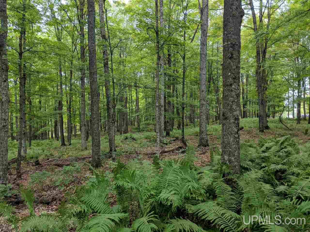 6.50-acres Fordville Road, Unit 27 STURGEON RIVER SI Foster City, MI 49807 - Photo 6 of 14