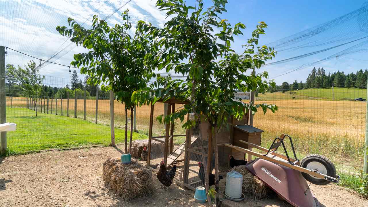 9110 East Woolard Road Colbert, WA 99005 - Photo 41 of 47