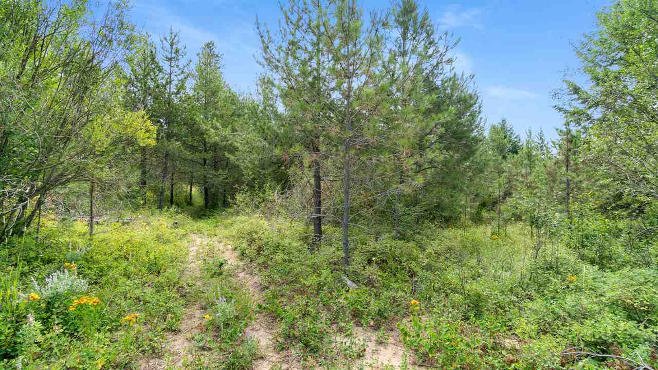 9110 East Woolard Road Colbert, WA 99005 - Photo 45 of 47