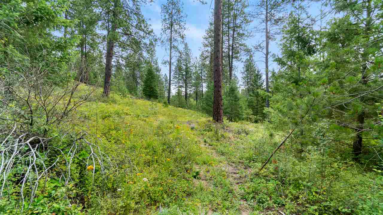9110 East Woolard Road Colbert, WA 99005 - Photo 46 of 47