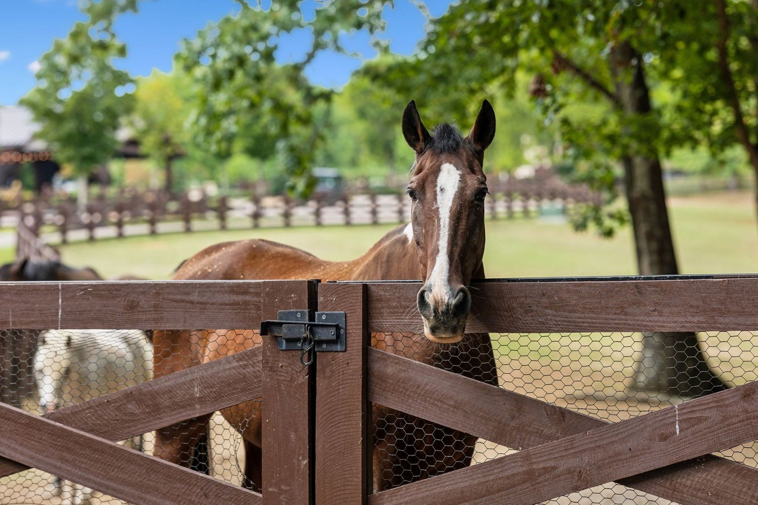 5715 Greenbrier Road Franklin, TN 37064 - Photo 28 of 72 a view of swimming pool with a patio and a yard