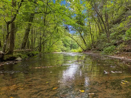 $30,000,000 | 5715 Greenbrier Road, Franklin, TN 37064