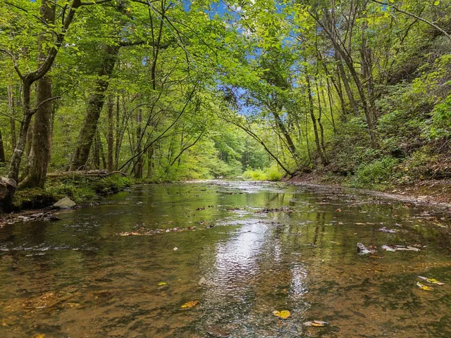 $30,000,000 | 5715 Greenbrier Road, Franklin, TN 37064