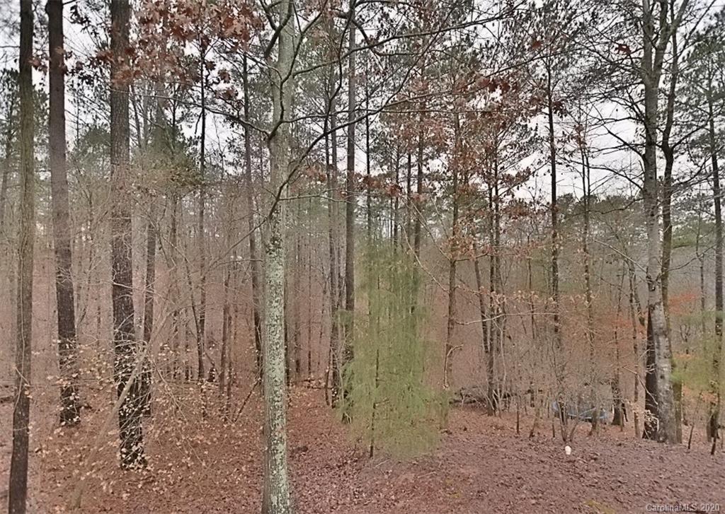 11068 Deep Cove Drive Tega Cay, SC 29708 - Photo 33 of 34 a view of a forest