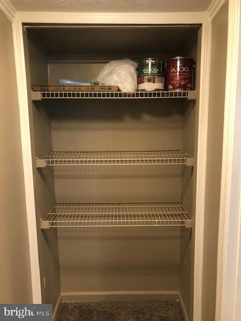 172 Truslow Road Fredericksburg, VA 22405 - Photo 13 of 17 Pantry
