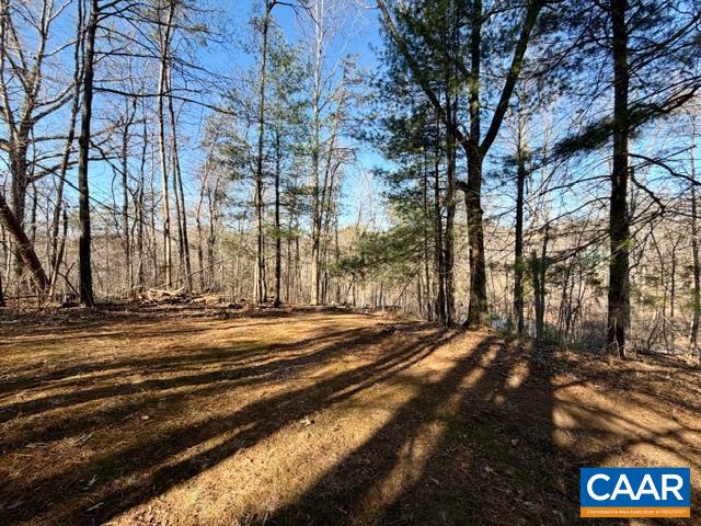 258 Riverdale Road Stanardsville, VA 22973 - Photo 22 of 25