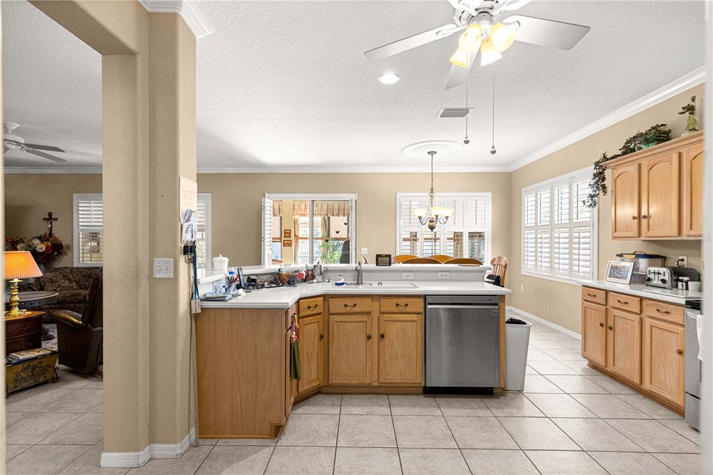 9211 Southeast 130th Loop Summerfield, FL 34491 - Photo 20 of 61