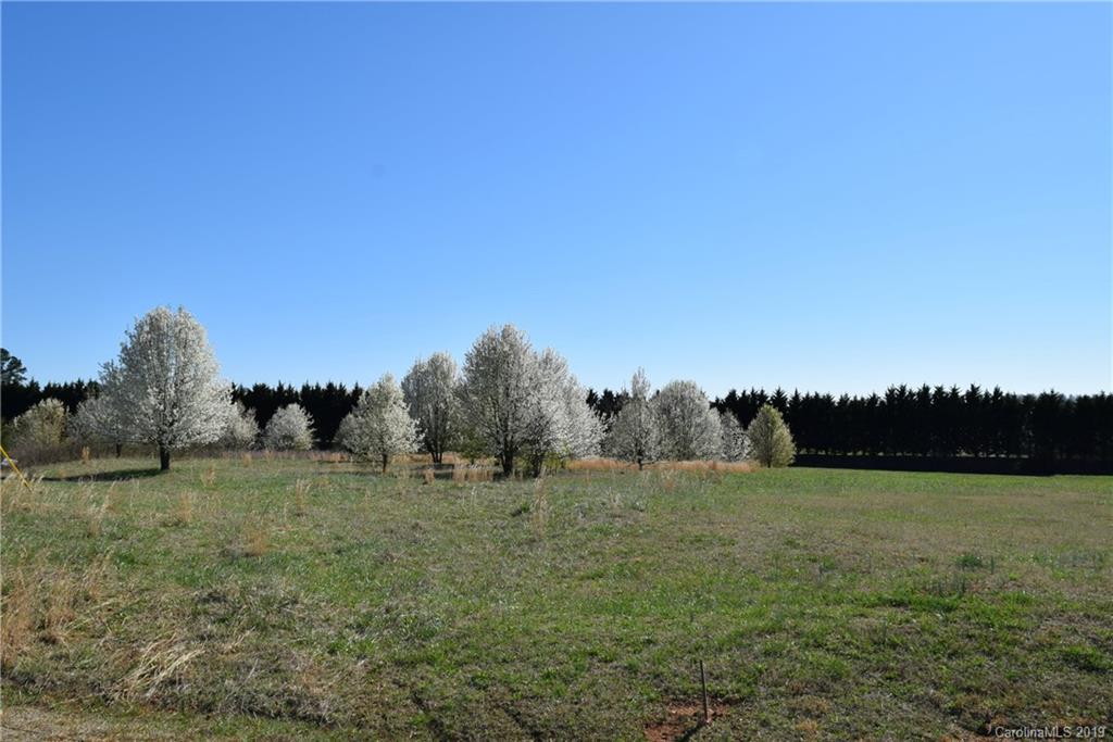 Lot 101 Evondale Road Crouse, NC 28033 - Photo 1 of 7