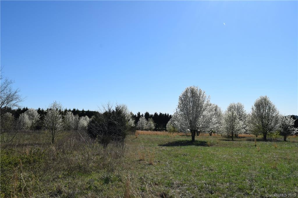Lot 101 Evondale Road Crouse, NC 28033 - Photo 2 of 7