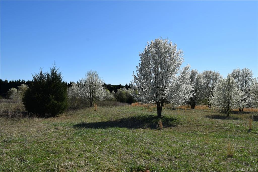 Lot 101 Evondale Road Crouse, NC 28033 - Photo 3 of 7