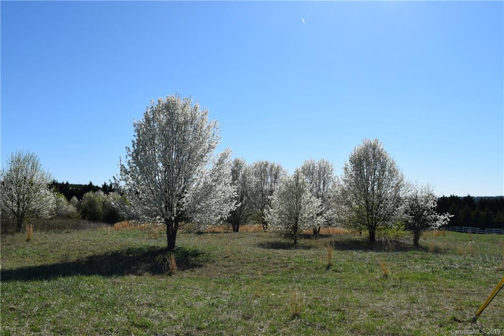 Lot 101 Evondale Road Crouse, NC 28033 - Photo 4 of 7