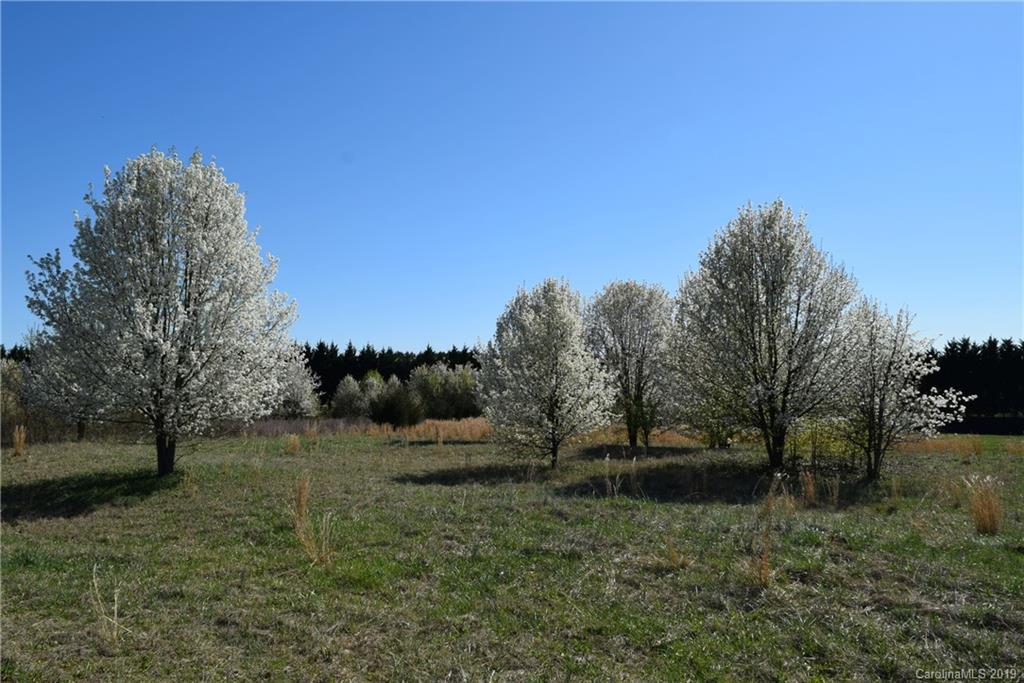 Lot 101 Evondale Road Crouse, NC 28033 - Photo 5 of 7
