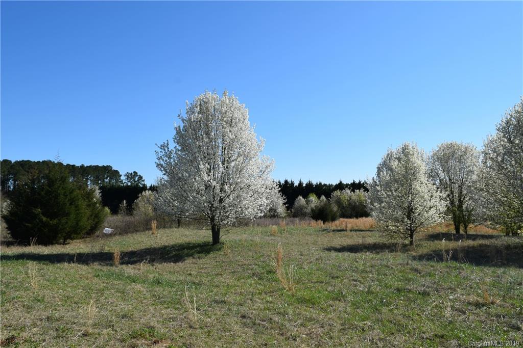 Lot 101 Evondale Road Crouse, NC 28033 - Photo 6 of 7