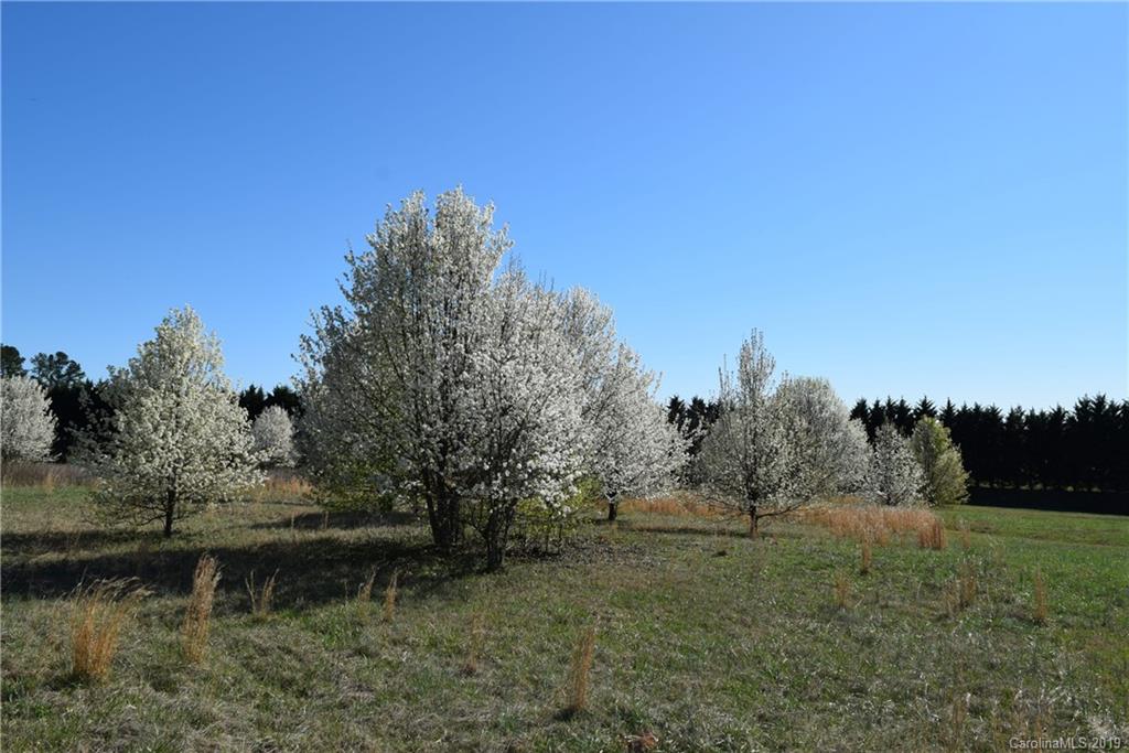 Lot 101 Evondale Road Crouse, NC 28033 - Photo 7 of 7