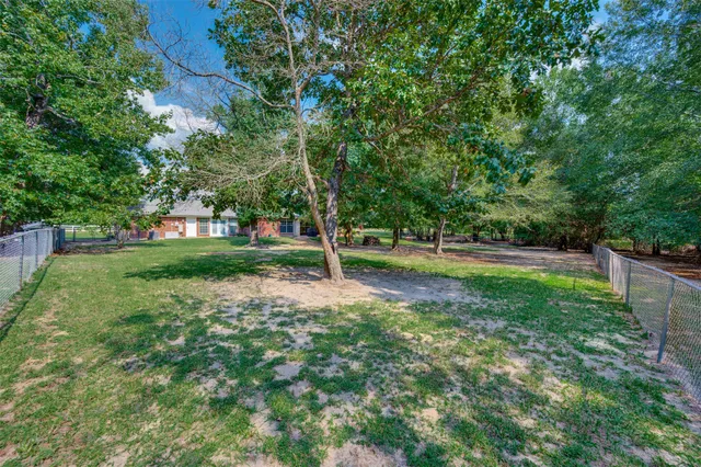 a view of a park with large trees