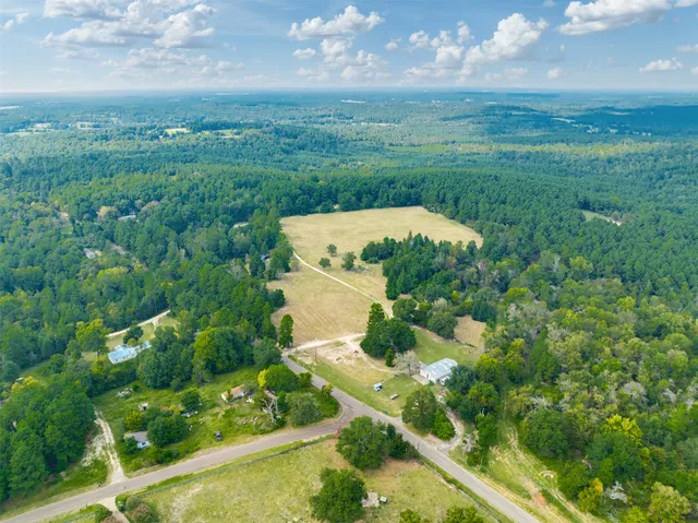 an aerial view of a residential houses with outdoor space and trees