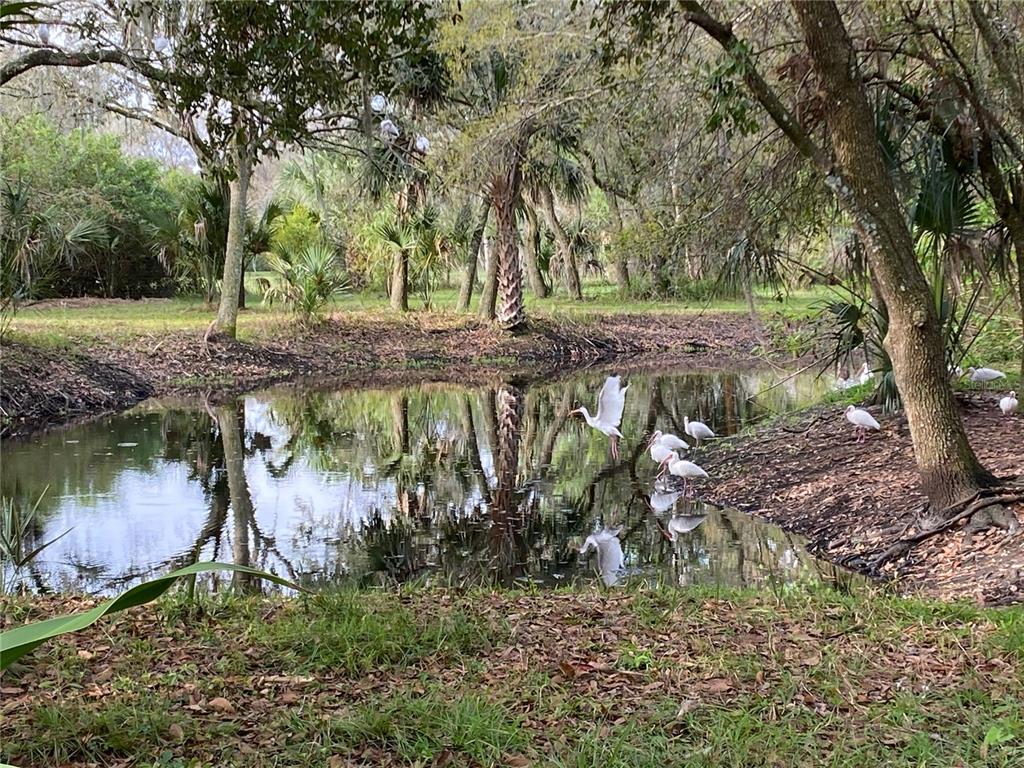 2230 Myakka Road Sarasota, FL 34240 - Photo 50 of 55 Gallery Image 50